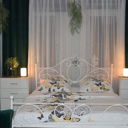 Apartament U Danusi Złoty Stok Esterno foto