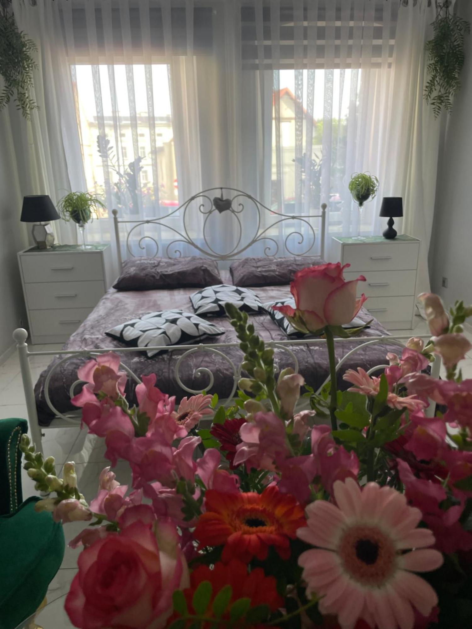 Apartament U Danusi Złoty Stok Esterno foto